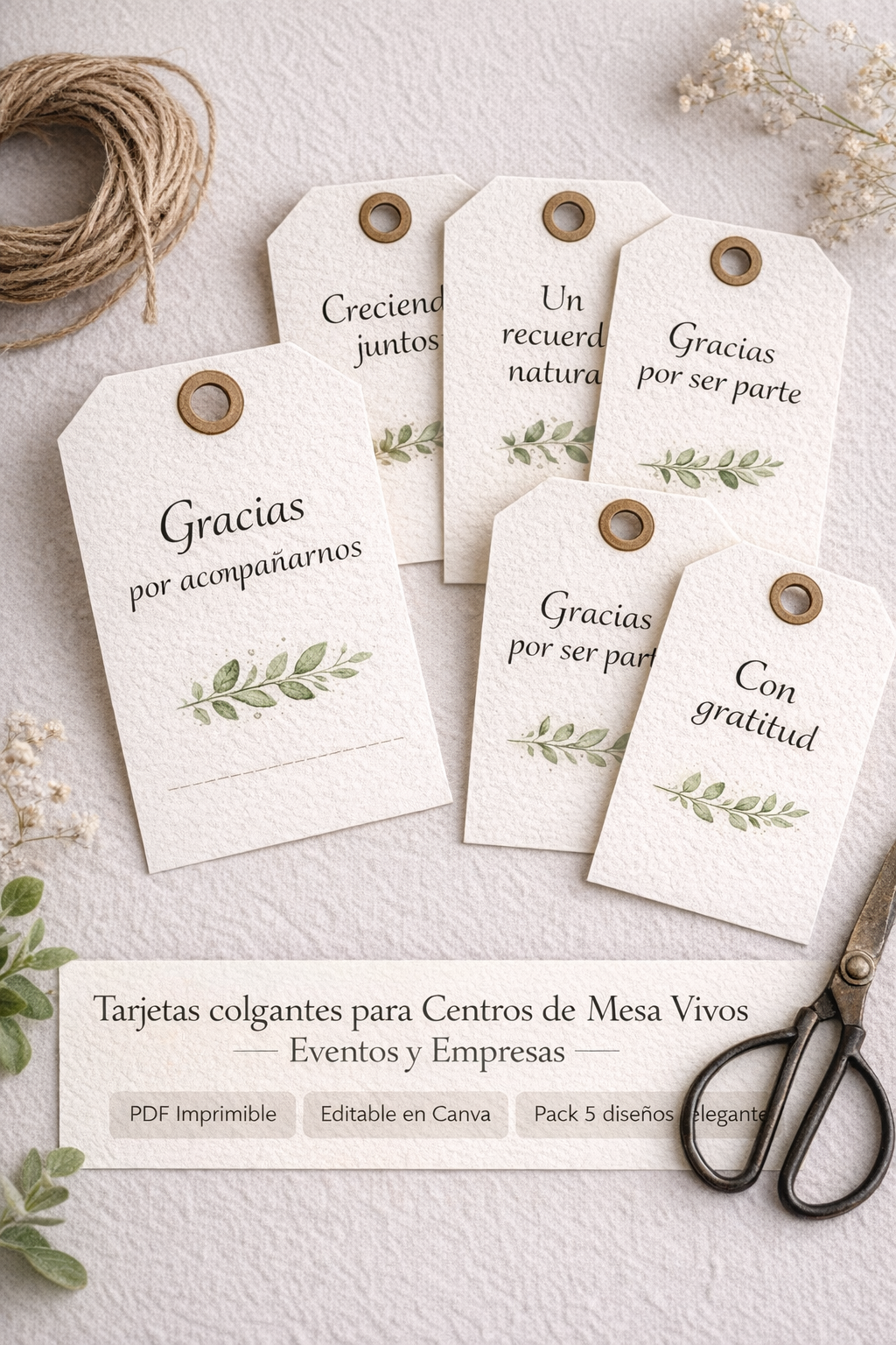 MEGAPACK PRO DEL ESQUEJE AL NEGOCIO